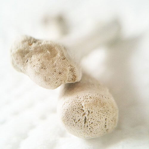 The high calcium content in oats is good for bones