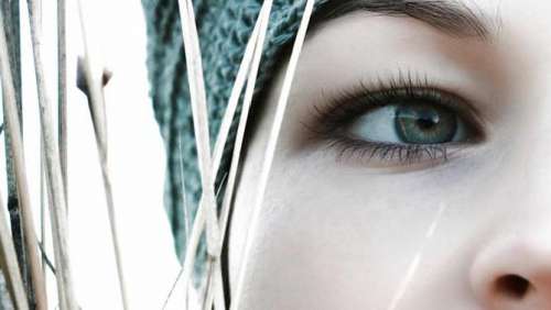 ALT TITLE eyelashes