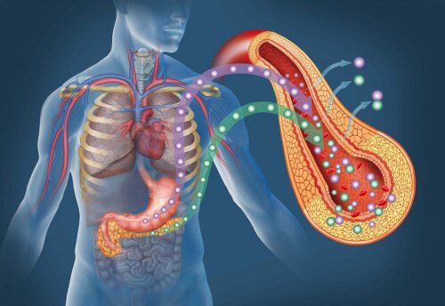 Oatmeal is highly recommended for diabetics