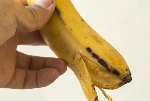 Opening a ripe banana