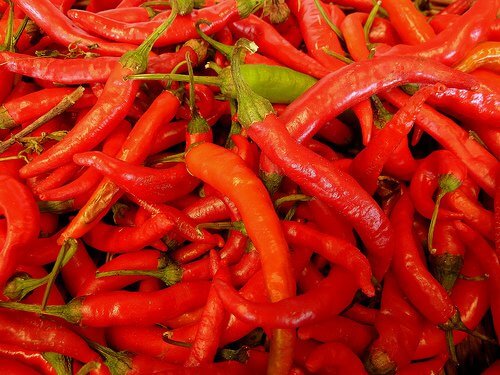 cayenne-pepper-2 stops bleeding