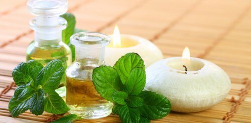 How to Make Mint Oil for Your Health