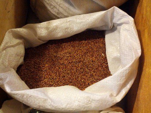 Cleansing Diet with Red Rice