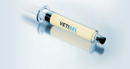 vetigel stops bleeding