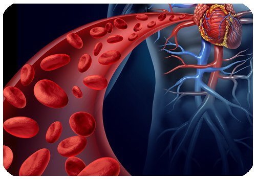 Red blood cells