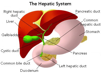 abdominal pain