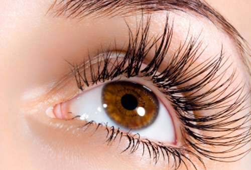 Brown eye with long eyelashes