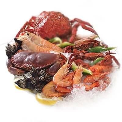 Shellfish.