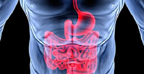 Poor Digestion and Emotional Problems