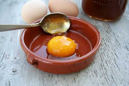 Egg yolk in a dish
