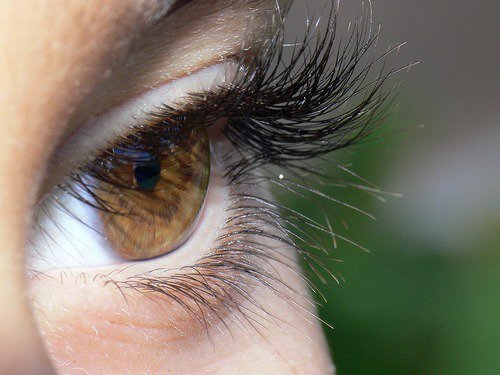 Long and thick lashes