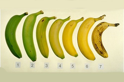 Ripe or Green Bananas: Which are Healthier?