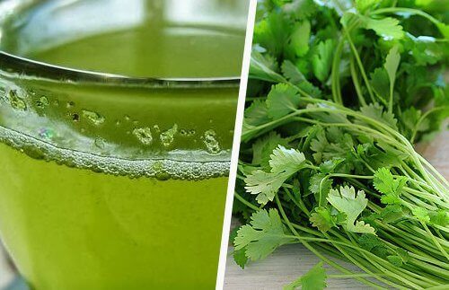 Cilantro tea fresh bunch benefits of consuming cilantro