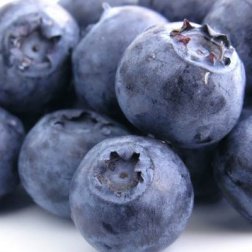 blueberries