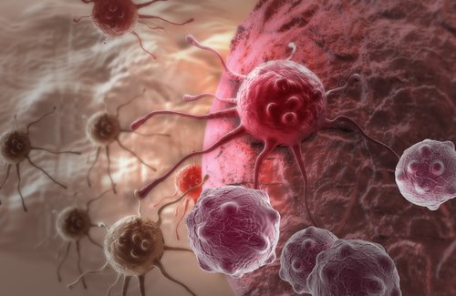 Cancerous cells in the body.