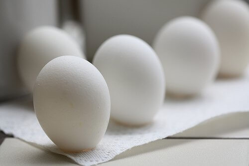 eggs