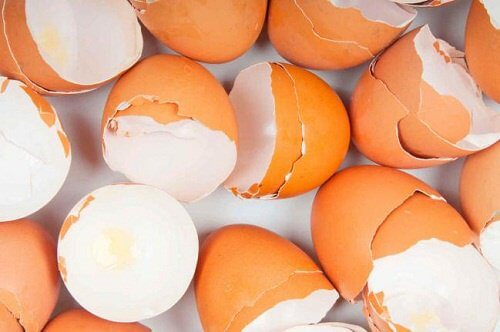 15+ Surprising Uses for Eggshells 15+ Surprising Uses for Eggshells