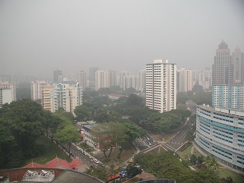 Pollution can lead to an accumulation of heavy metals