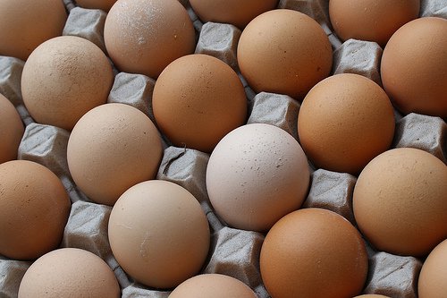 many eggs in a carton