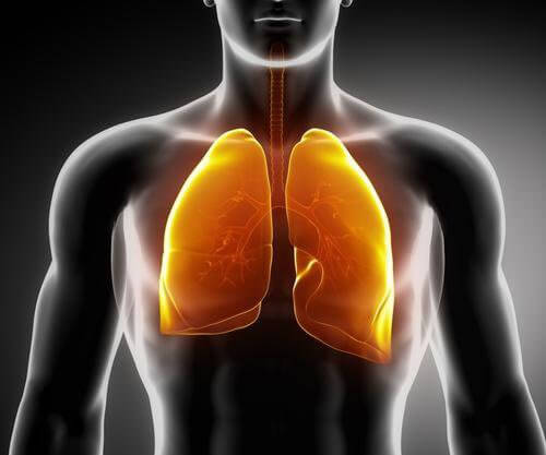 3 Teas to Help Strengthen Your Lungs
