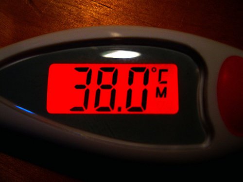 Thermometer screen