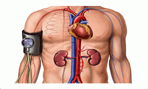 Not drinking enough water can cause low blood pressure
