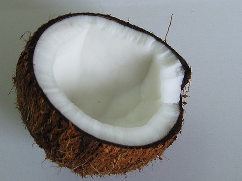 coconut cut in half