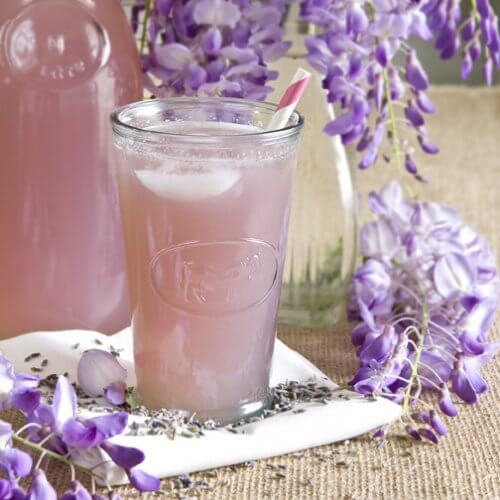 Medicinal Infusions Lavender-500x500