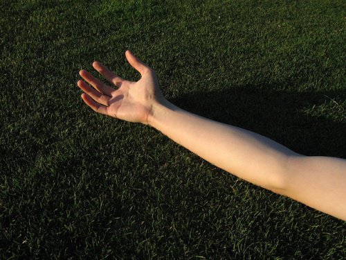 An outstretched arm.