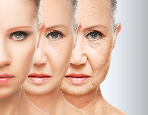 How facial wrinkles form.