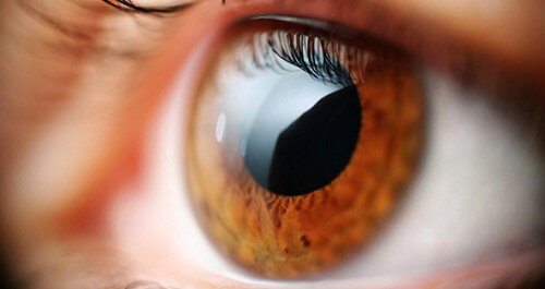 Why Do You Suffer from Blurred Vision?