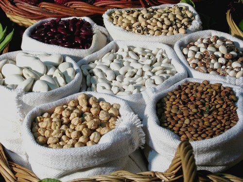Vegetable protein.