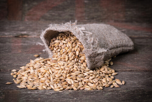 A small bag of barley.