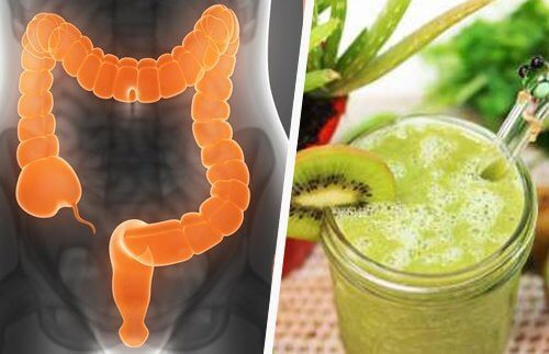 Intestine and Juice