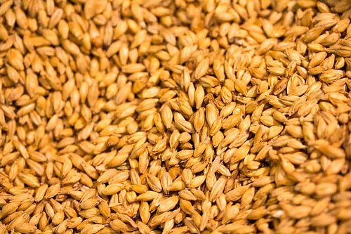Grains