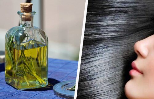 6 Oils that Promote Hair Growth