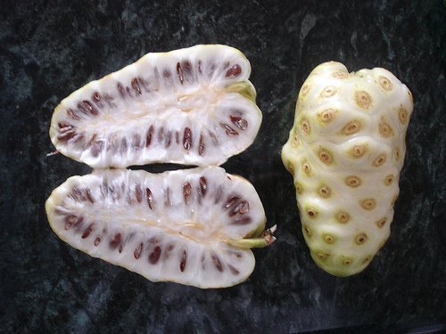 Noni fruit