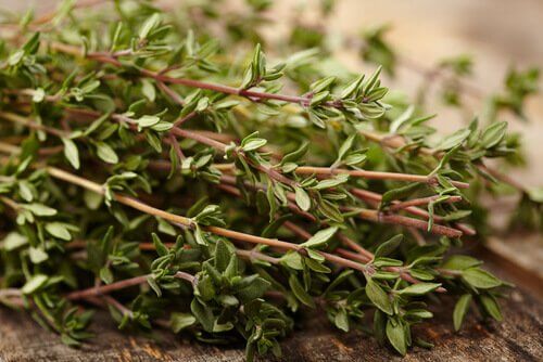 Thyme.