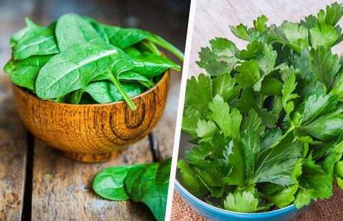 Spinach-and-celery