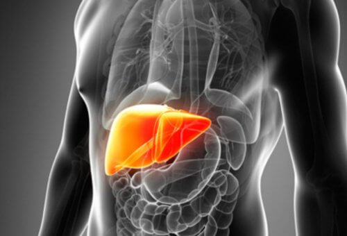 7 Reasons Why You Should Detox Your Liver and How to Do it