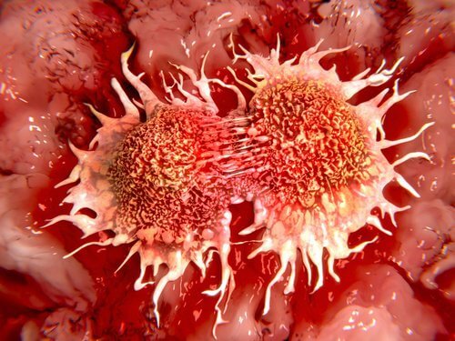 Lemon may contain potential anti-cancer properties