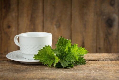 Mint next to a teacup.