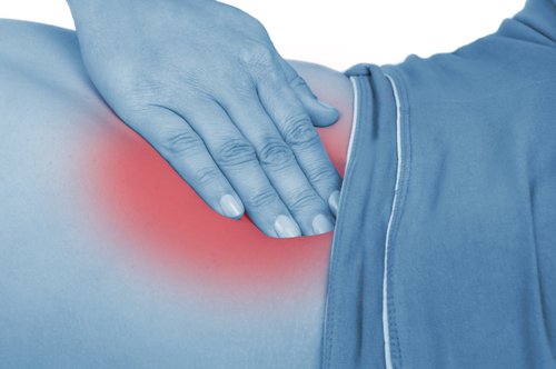 What is appendicitis and what does the appendix do?