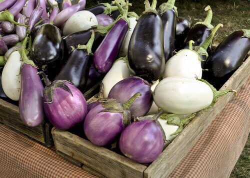 Different types of aubergines