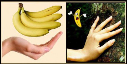 Bananas are one of the foods that resemble body parts