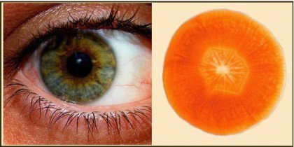 11 Foods that Resemble Body Parts