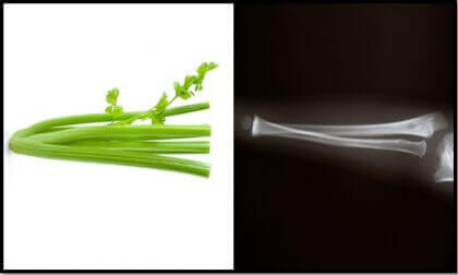 Celery is one of the foods that resemble body parts