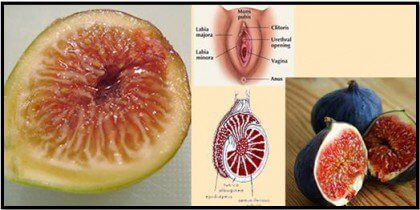 Figs are one of the foods that resemble body parts