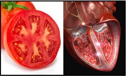 Tomatoes are one of the foods that resemble body parts