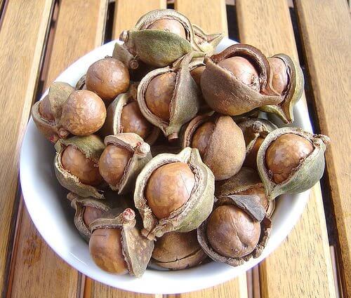 nut-shells